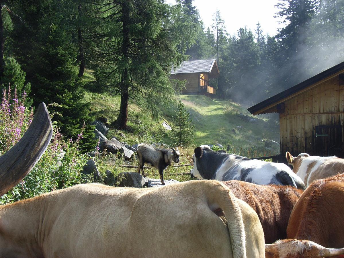 Ledererhof Apartments Sankt Jakob in Defereggen Kültér fotó