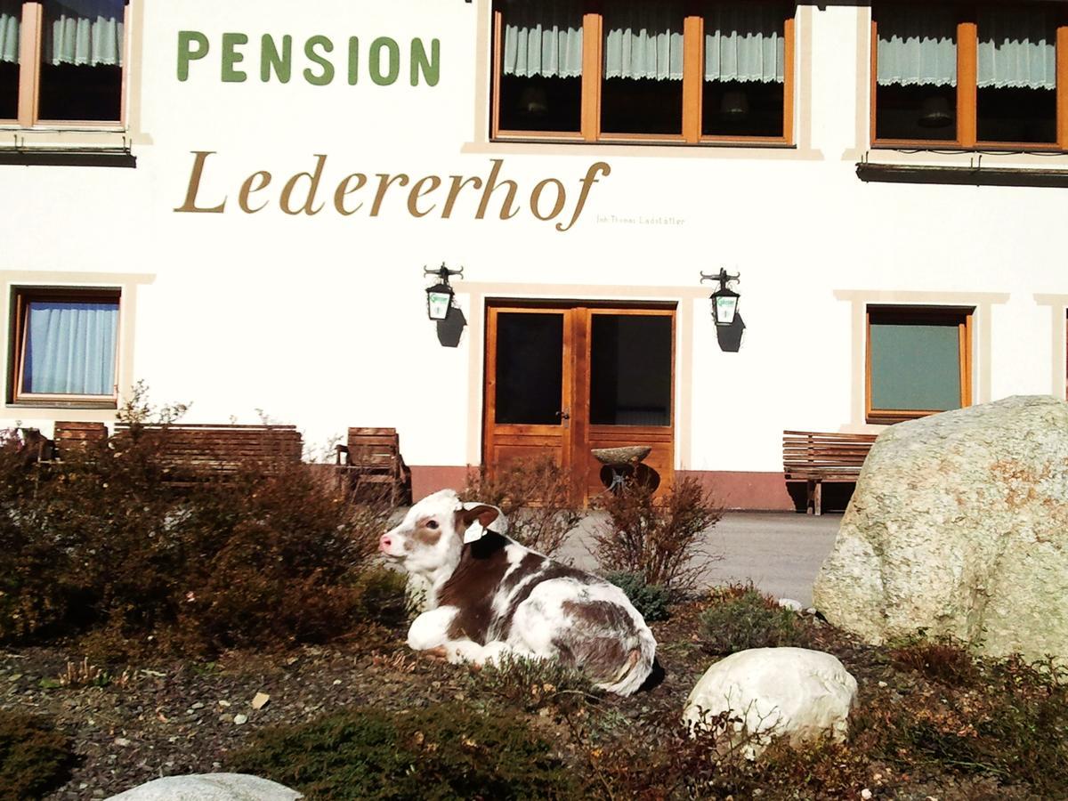 Ledererhof Apartments Sankt Jakob in Defereggen Kültér fotó